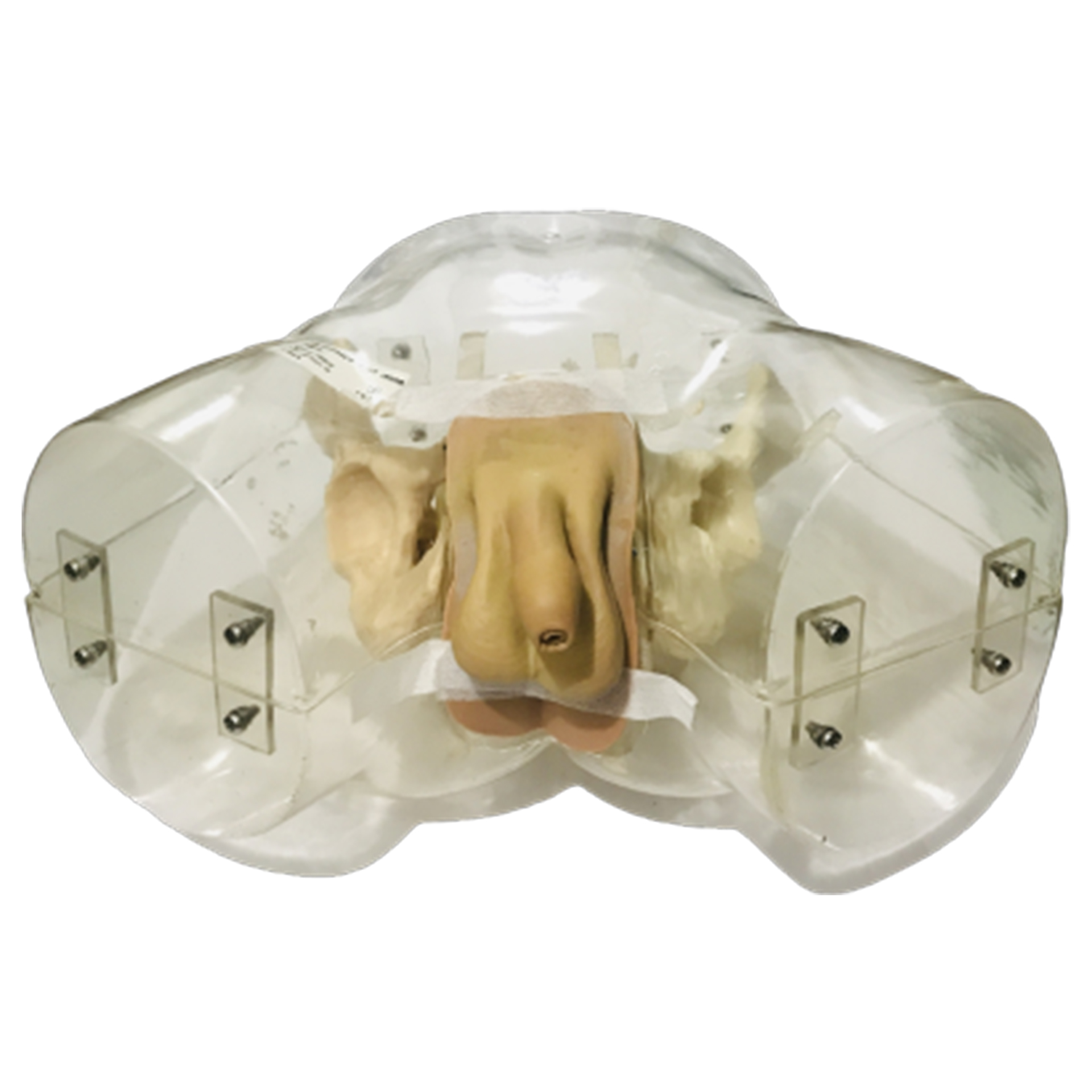 Model Kateter Pria Transparan Image